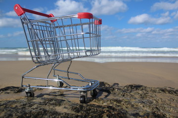 Retail Cart Outdoor