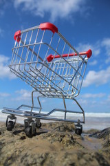 Retail Cart Outdoor