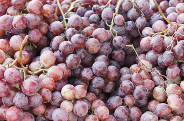 Red Grapes