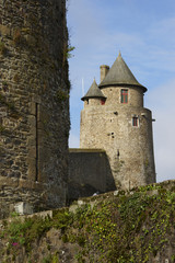 Fototapeta na wymiar château de fougères en bretagne