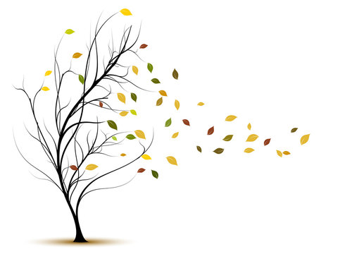 Decorative Vector Tree Silhouette In Autumn