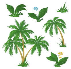Obraz premium Palm trees, flowers and grass