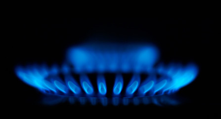 Blue flames of gas stove in the dark - 36216118
