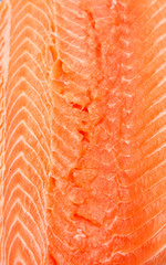 Fresh Salmon Filet