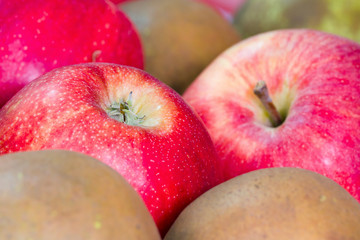 Apples
