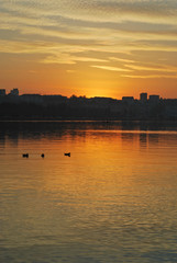 Fototapeta premium Sunset