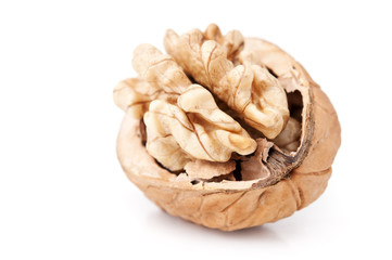 one walnut