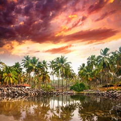 Foto op Canvas Tropical resort © pikoso.kz