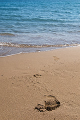 Footprints on the wet send on the beach