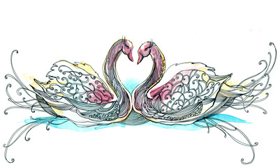 swan couple (series C)