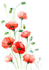 poppies (series C)