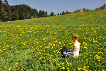 Girl with a laptop on the meadow