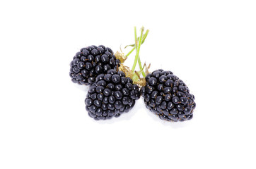 blackberry