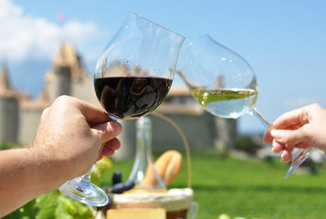 Two hands holding wineglasses,Chateau d'Aigle, Switzerland