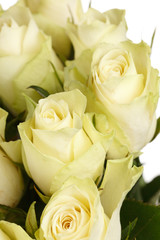 beautiful roses