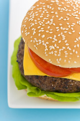 Classic Hamburger with cheese tomato and salad