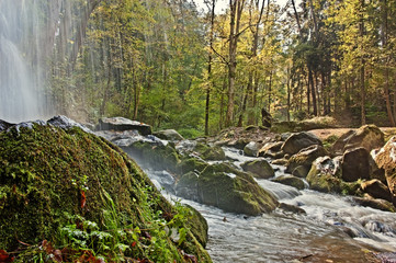 river with waterfall in the autumn forest