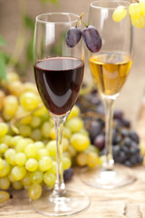 wine sampling