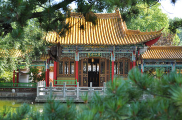 Chinese garden in Zurich