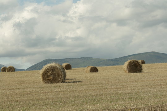 Ballot de paille,Cerdagne