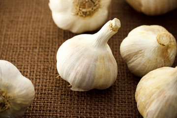 Garlic