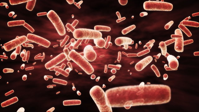 Abstract Microscopic Ecoli Bacteria.