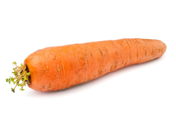 single carrot
