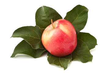 single red apple with leaves
