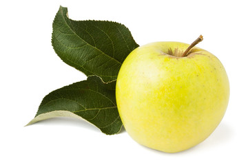 single yellow apple with leaves