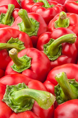 bell peppers
