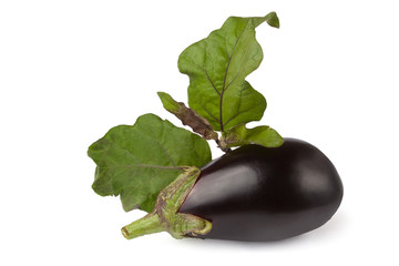 single eggplant with leaves