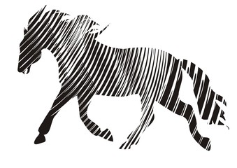 Silhouette of a horse in a strip