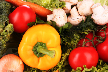 A set of fresh vegetables isolated on white