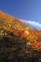 松川渓谷の紅葉