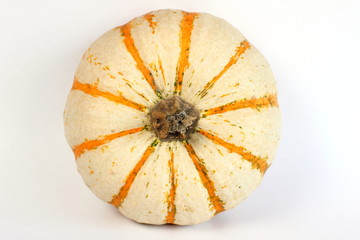 Zierkürbis