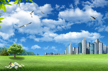 Green meadow with city in background