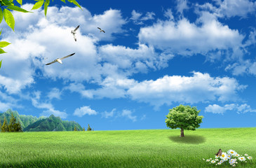 Green field, blue sky and white clouds