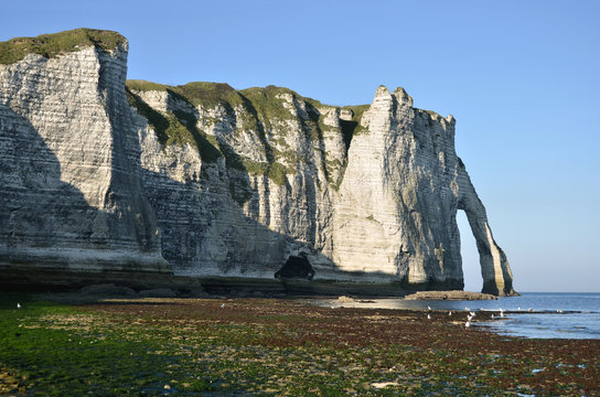 Famous cliffs of Etretat in France