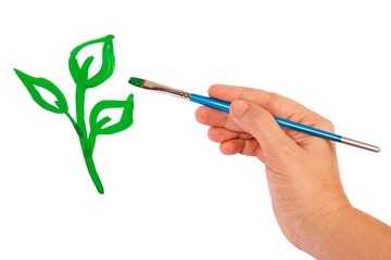 Hand draws a green sprout on a white background