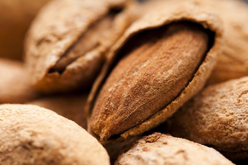 Sweet almonds with kernel