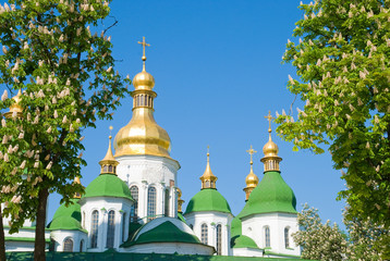 Fototapeta na wymiar Cathedral Saint Sofii in Kiev in framing the flowering chestnut