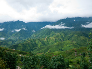Obraz premium Sapa Valley in Vietnam