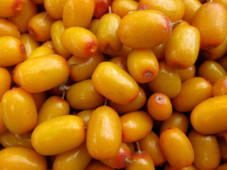 yellow sea-buckthorn berries