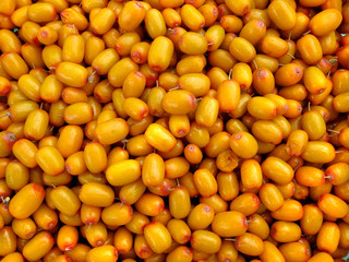 yellow sea-buckthorn berries