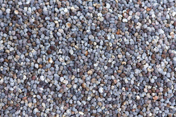 poppy seed background