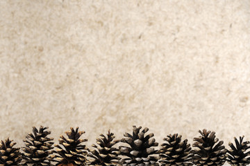 Naklejka na ściany i meble pine cones