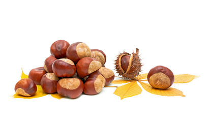 Autumn still life - fruit and leaves of chestnut.