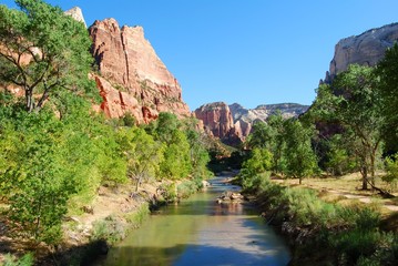 zion national park