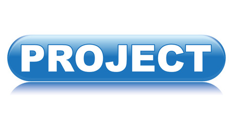 PROJECT ICON