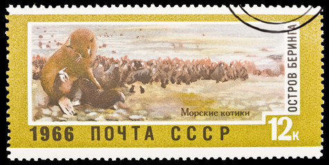 USSR, shows Bering's s